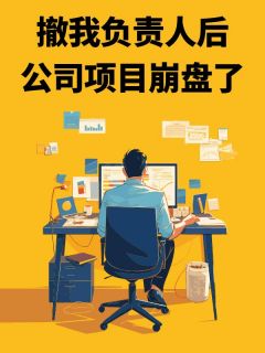 撤我负责人后，公司项目崩盘了