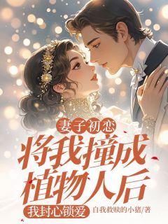 妻子初恋将我撞成植物人后,我封心锁爱by自我救赎的小猪 邵川季漾邵宴小说全文阅读