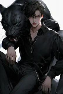 《若不曾与君相逢》大结局精彩试读 《若不曾与君相逢》最新章节列表