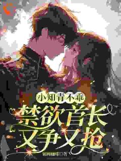 《钓到渣男前夫的上司后,他跪求放过》苏锦萧云锋章节免费试读 苏锦萧云锋是什么小说