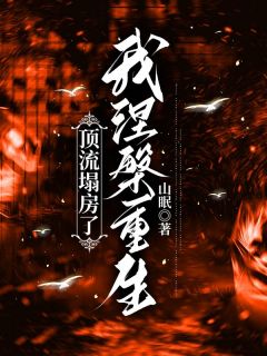 《顶流塌房了,我涅槃重生》沈婷顾沉大结局精彩试读