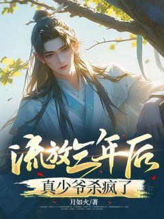 林风林帆大结局在线阅读 流放三年后，真少爷杀疯了免费阅读