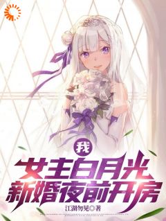 我，女主白月光，新婚夜前开房