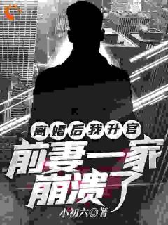 离婚后我升官,前妻一家崩溃了