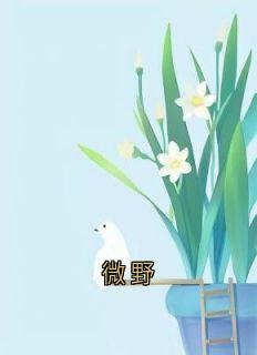 林微沈行川秦野小说阅读 林微沈行川秦野小说微野