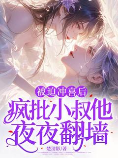 《被迫冲喜后，疯批小叔他夜夜翻墙》小说大结局精彩阅读 阮岁禾唐夜庭小说全文