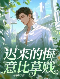 《迟来的悔意比草贱》沈砺锋叶淼淼章节列表免费阅读