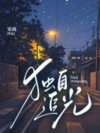 独自追光完整小说目录在线阅读 (宋辞宋启明) 大结局无弹窗