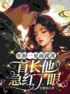 军婚一见面就离,首长他急红了眼