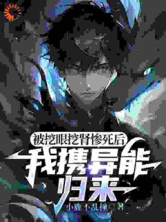 精品小说《被挖眼挖肾惨死后，我携异能归来》林昭柳如烟已完结版全文章节阅读