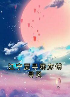 江宁夏寻寒彦傅寻风