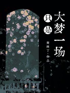 苏阮周寻陆景年小说 《只是大梦一场》小说全文精彩试读