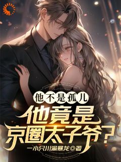 《他不是孤儿！他竟是京圈太子爷？》免费阅读 江晏林婉清小说免费试读