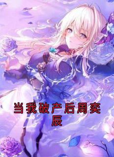 当我破产后周奕辰