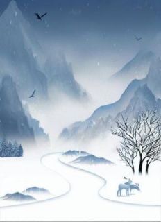 《离婚时,我收到十七岁妻子的告白》小说大结局在线试读 顾北沉徐亮沈恣意小说全文