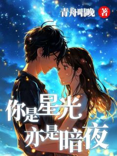 你是星光,亦是暗夜