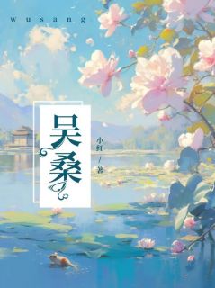 我捡了一个眼瞎的男人做我的夫君