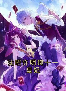 沈昭许明琬十一皇妃