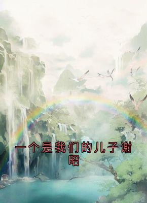 《一个是我们的儿子谢昭》免费阅读 流萤谢长憬小说在线阅读