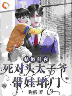 死对头找上门,我什么时候生了娃?