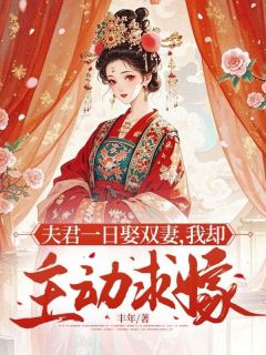 夫君一日娶双妻,我却主动求嫁沈珏苏妙儿免费在线全文阅读