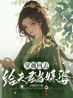 穿越回去给夫君当媒婆