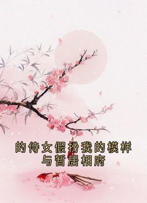 《的侍女假扮我的模样与暂居相府》锦屏李墨白赵思则章节列表免费阅读