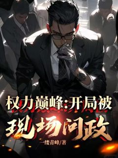 权力巅峰:开局被现场问政