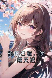 朝阳已逝，晚霞又迟