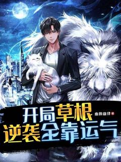 开局草根，逆袭全靠运气