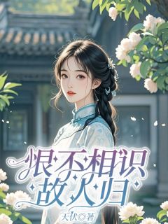 《恨不相识故人归》陆晚吟贺云钦章节列表免费阅读