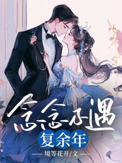 念念不遇复余年