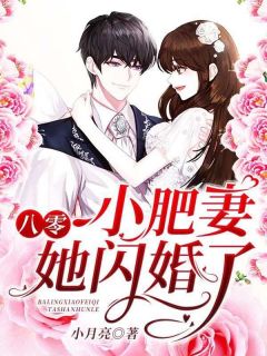 《八零小肥妻她闪婚了》顾晚陆擎章节在线试读