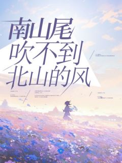 南山尾吹不到北山的风