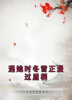 遇她时冬雪正漫过眉梢