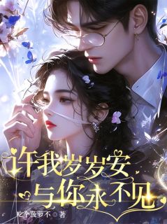 许我岁岁安,与你永不见小说 许我岁岁安,与你永不见南乔谢景云在线阅读