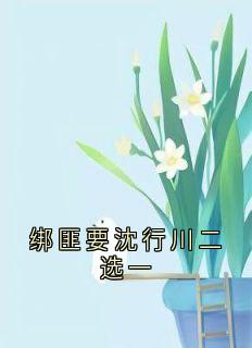 绑匪要沈行川二选一