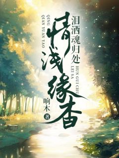 情浅缘杳泪洒魂归处秦韵顾承泽小说精彩章节免费试读