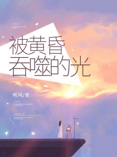 被黄昏吞噬的光