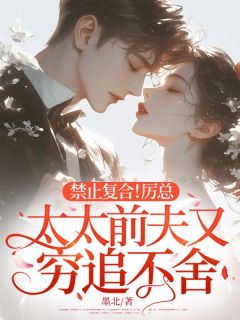 禁止复合!厉总,太太前夫又穷追不舍