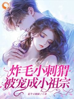 炸毛小刺猬被宠成小祖宗