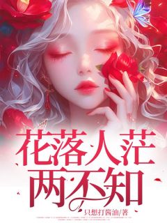 花落人茫两不知