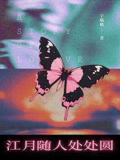 《江月随人处处圆》小说免费阅读 江月陆晨小说大结局免费试读