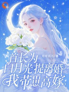 《首长为白月光提离婚,我带崽高嫁》盛南汐秦昀川小说全本在线阅读
