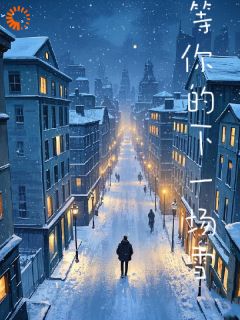 等你的下一场雪