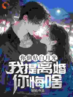 《你倒贴白月光，我提离婚你悔啥》宋毅周玉完结版精彩试读