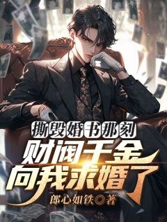 撕毁婚书那刻,财阀千金向我求婚了