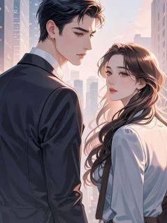 我替妻子顶罪入狱，她却为养弟生儿育女晏平苏宛白全文阅读 作者橙橙