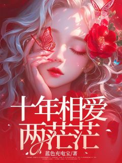 最新《十年相爱两茫茫》沈言心陆屿小说在线阅读全文章节