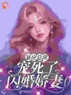 暴戾总裁宠死了闪婚娇妻